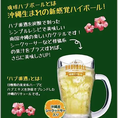 【居酒屋】西新商店街で琉球ハブボール！【せんべろ】